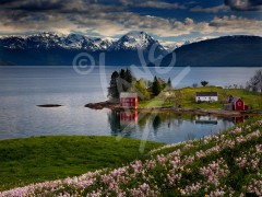 NORWAY Fosse